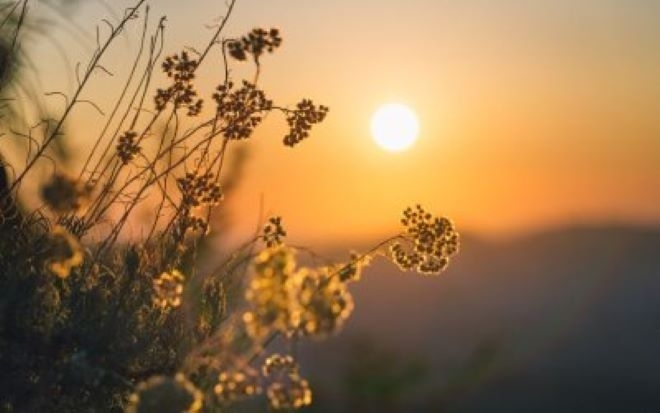 Ето какво време ни очаква в неделя