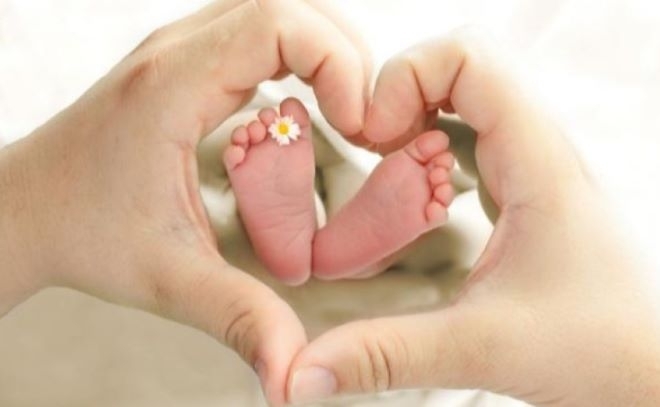 Кметът на Община Берковица Радослав Найденов излезе с поздравителен адрес