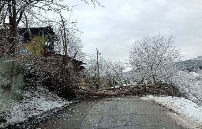 Метеоролозите в Монтана обявиха колко сняг е валяло в населените