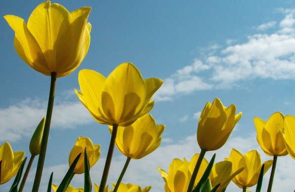 През нощта облачността над източните райони ще намалее и над