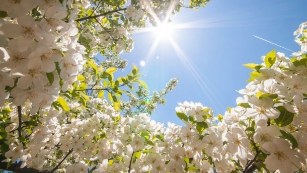 Днес ще бъде слънчево В сутрешните часове на места в