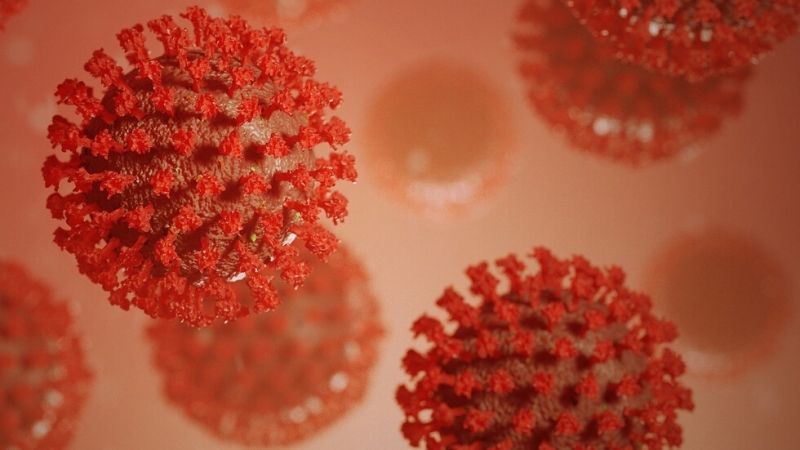 На извънредно заседание вчера чешкото правителство одобри поредица от строги