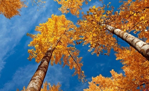 През нощта облачността ще продължи да намалява и утре над