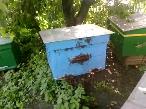 Установена е била кражба на кошер във Врачанско съобщиха от