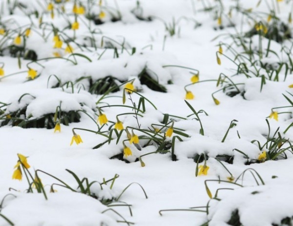В сутрешните часове ще преобладава облачно време и на много