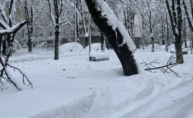 Снегът във Враца стигна близо половин метър  Поривистият вятър повали десетки