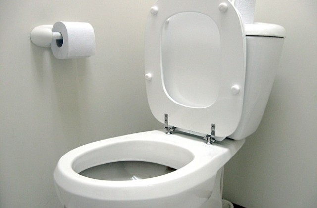 Триметров питон който се криел в тоалетна захапал пениса на
