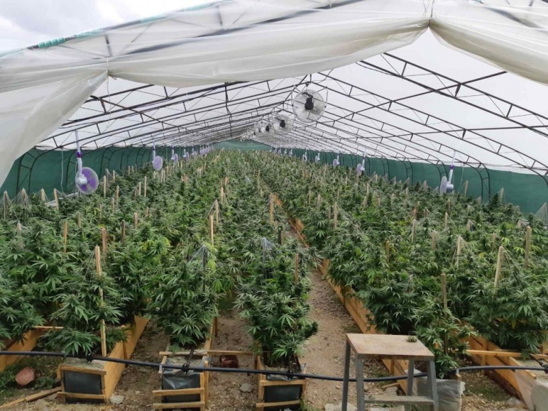 Състав на Софийски апелативен съд е оставил без уважение жалбите