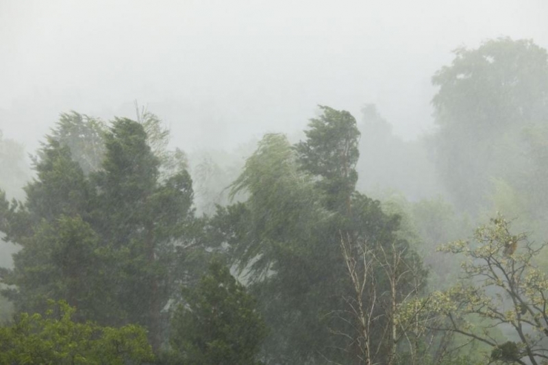 Силните пориви на вятъра дошли от Германия с бурята Сабине
