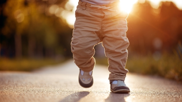 Вече денонощие полицаи със следови кучета пожарникари и роднини издирват