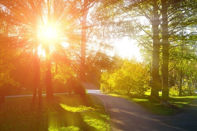 Жълт код почти за цялата страна е обявен за съботния ден