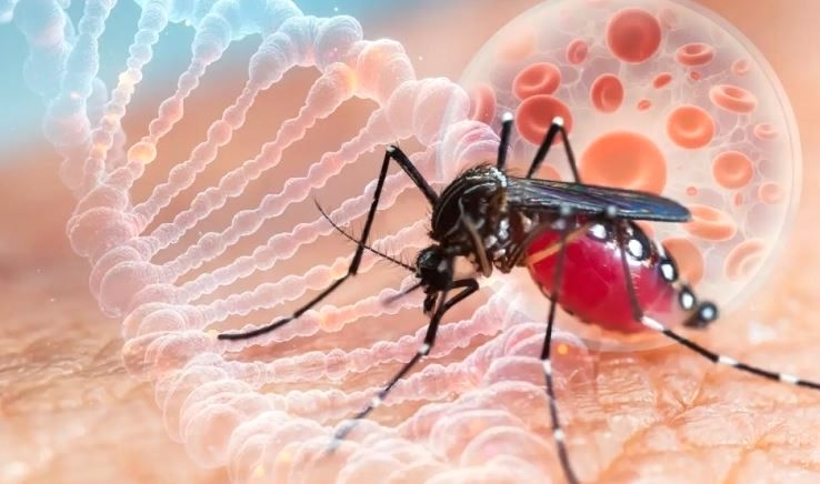 Община Мездра уведомява гражданите че във връзка с установените случаи