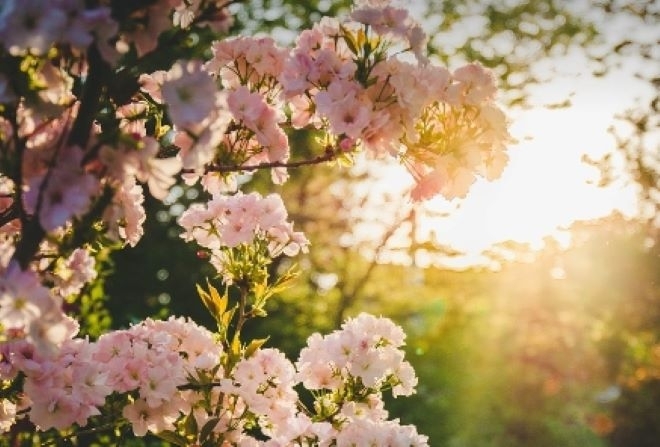 В събота ще бъде предимно слънчево След обяд облачността от северозапад