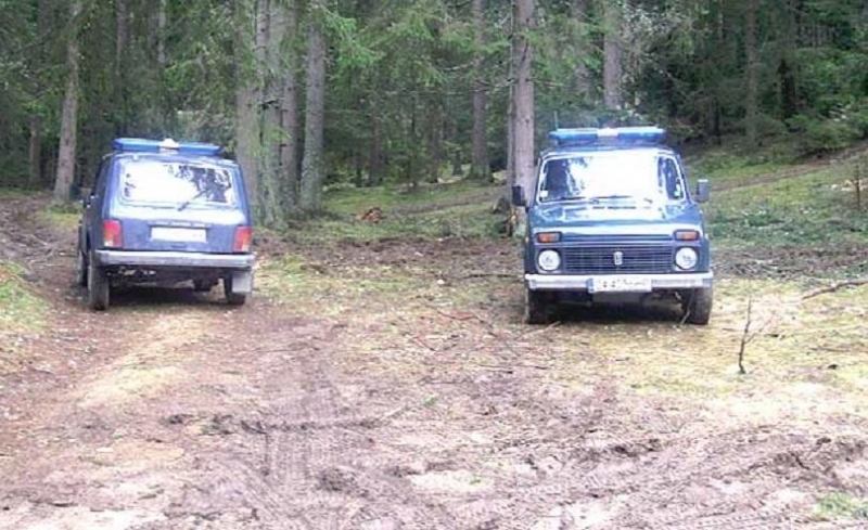 Регионална дирекция по горите Берковица обяви конкурси за две