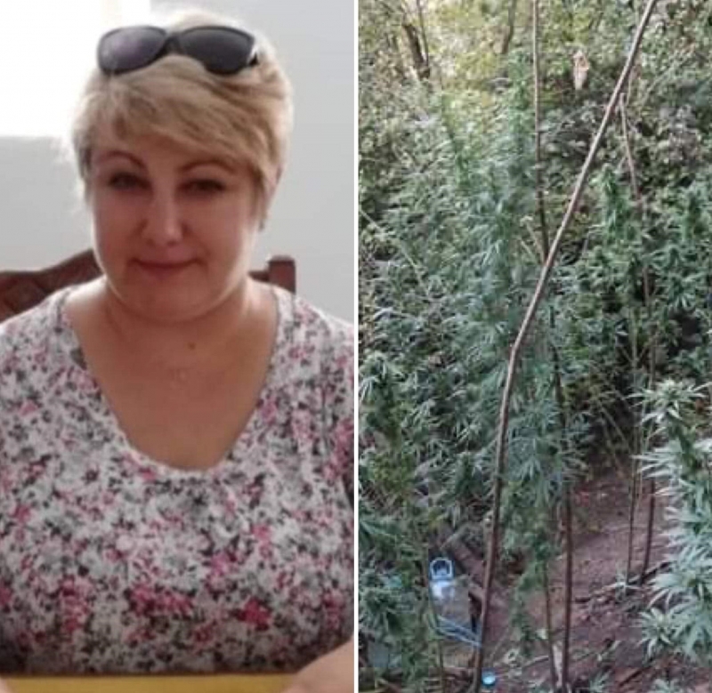 Повдигат обвинение срещу компроментирания директор на видинския музей Десислава Цветанова