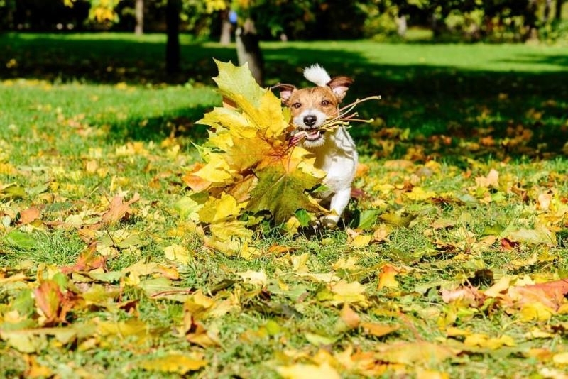 Днес ще преобладава слънчево време По значителни увеличения на облачността ще