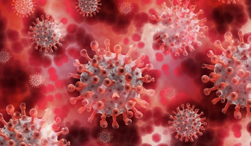 Нов подвариант на Омикрон Екс И ХЕ е открит