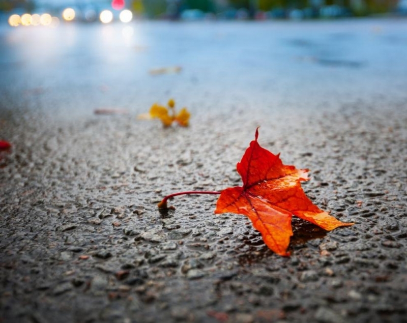 Днес максималните температури ще са между 13 deg и 18 deg