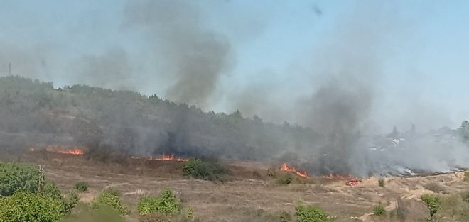 Пожар в покрайнините на Монтана вдигна огнеборците накрак /снимка/