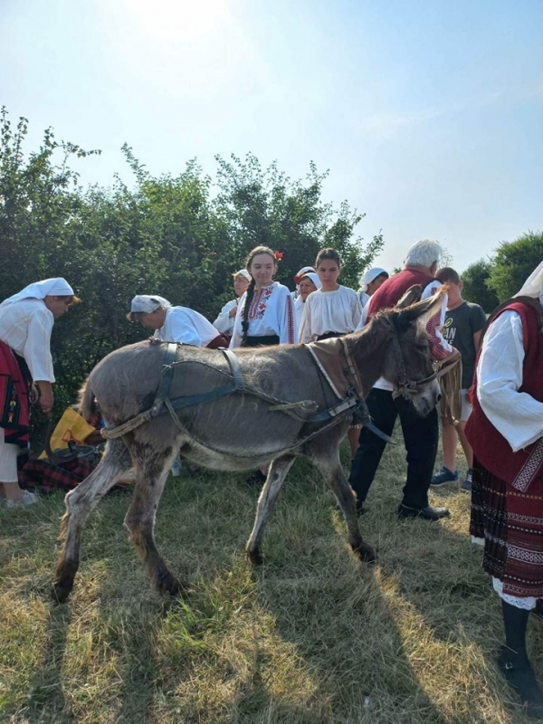 Обичай за жътва оживя в село Замфирово /снимки/