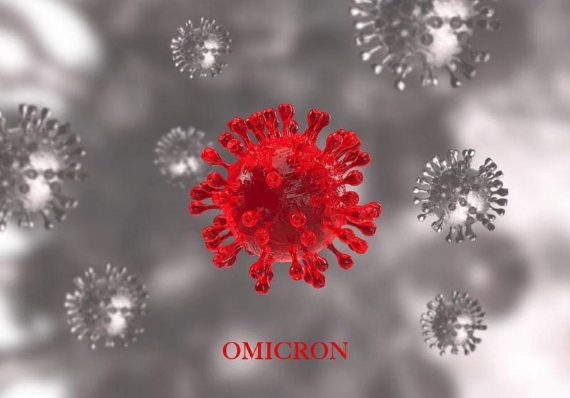 Новият вариант на коронавируса – Омикрон, не е засечен в