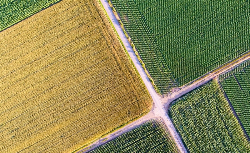 Нормативната база свързана със земята е променена 60 пъти за