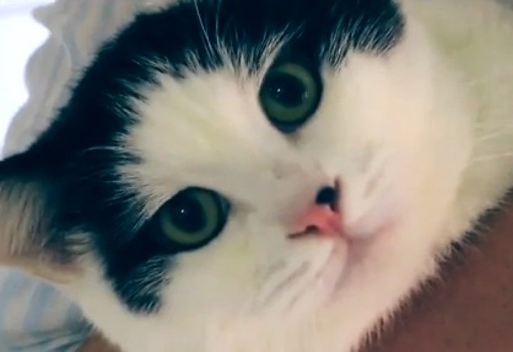 Британското посолство в Йордания нае нов служител на работа Става