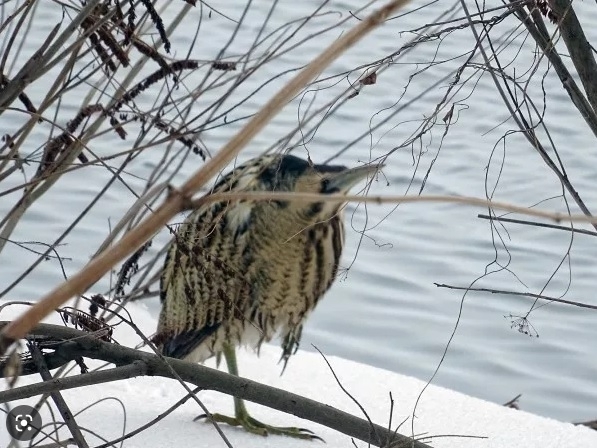 Eксперти от Регионалната инспекция по околната среда и водите във