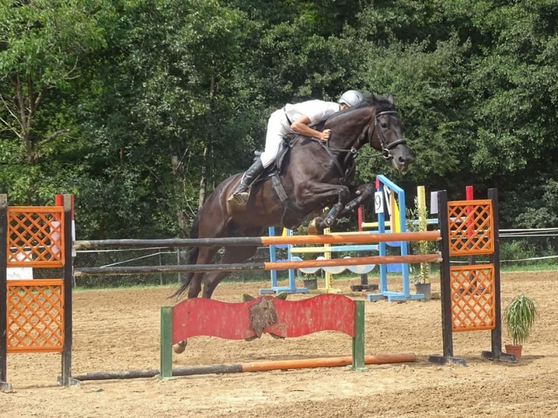 За шеста поредна година Община Вършец и Конна база Вършец