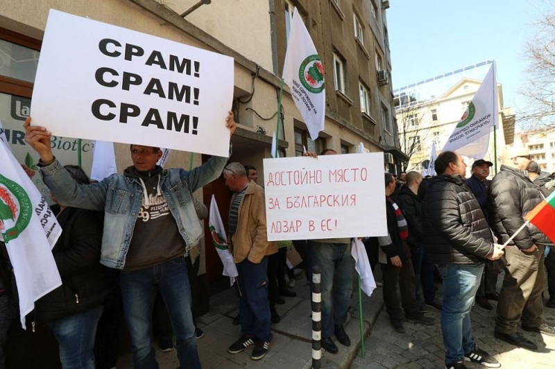 Думата Срам изписана с големи букви и на големи плакати