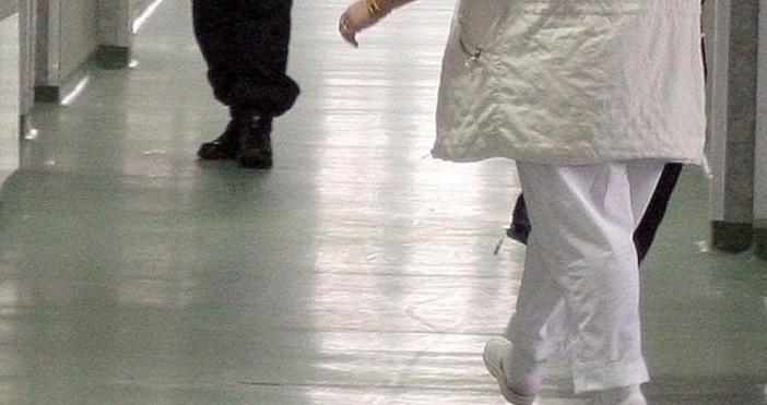 Съвременната марихуана вече не е мека дрога тя е генномодифицирана