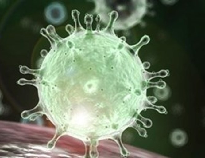 Специални мерки за сигурност на турско-иранската граница заради коронавируса