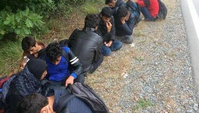 Униформени прибраха група бежанци след катастрофа в Монтанско съобщиха от