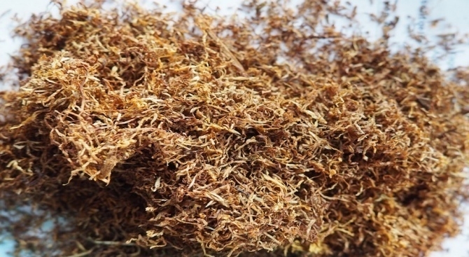 Служители на реда са конфискували незаконен тютюн във Вълчедръм съобщиха