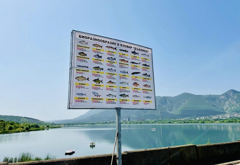 Билборд с изображения и информация за всички видове риби които