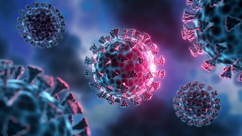 Актуални данни: 151 новозаразени с коронавирус у нас, 8 са в Северозапада