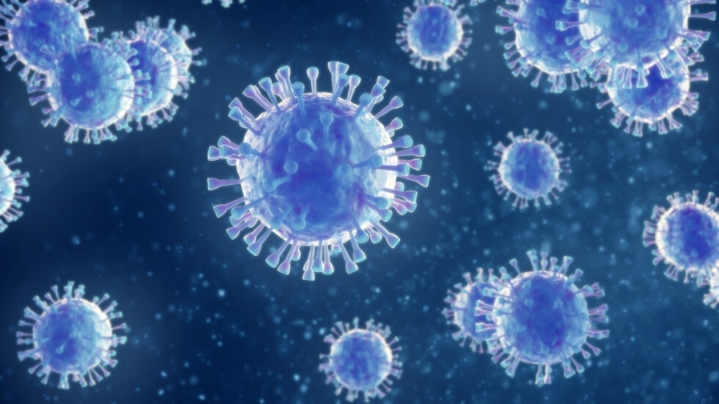 Британската мутация на коронавируса е открита в 17 турски провинции