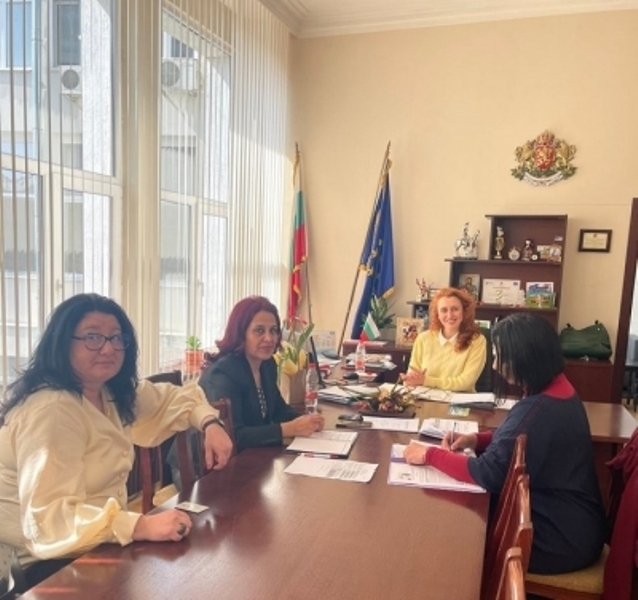 Много от домакинствата в ромския квартал Раковица в Берковица ползват