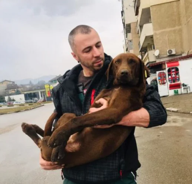Въпреки призивите да не се използва заря и пиротехника в