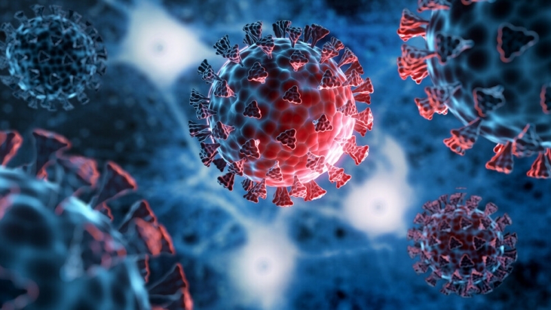 Новите потвърдени случаи на COVID 19 у нас за последното денонощие са