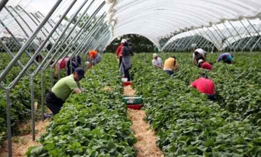 С началото на пролетта стартира активното наемане на работници за