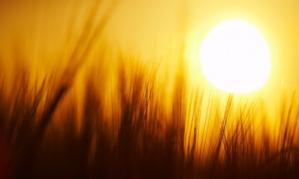 В България а и на цялата територия на Западните Балкани