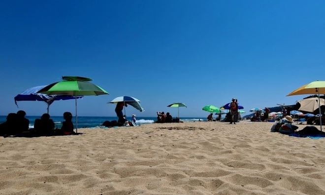 Черноморието е чисто и не е опасно Това написа в