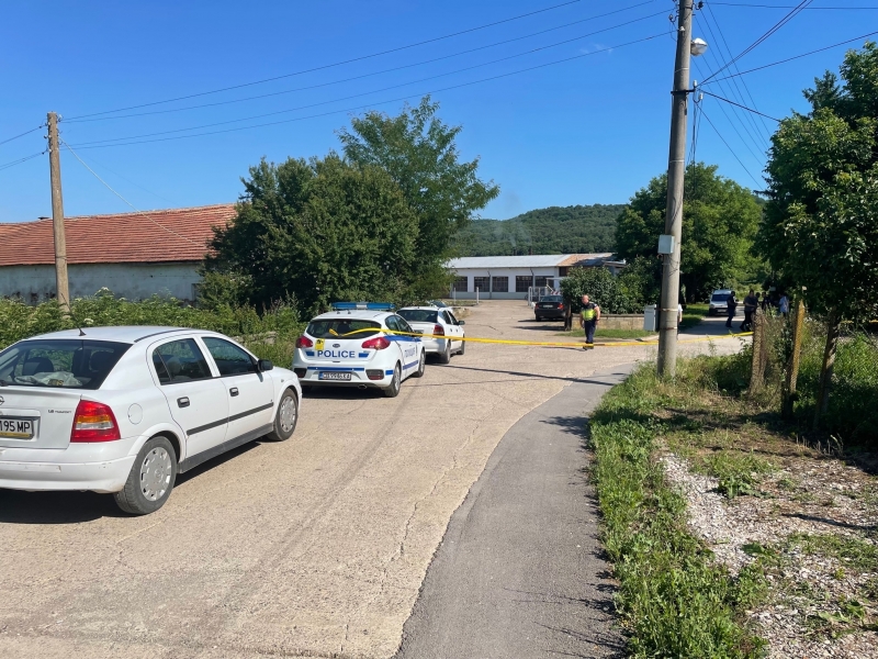 Банда цигани нападнаха с брадви и вили семейство в Лом