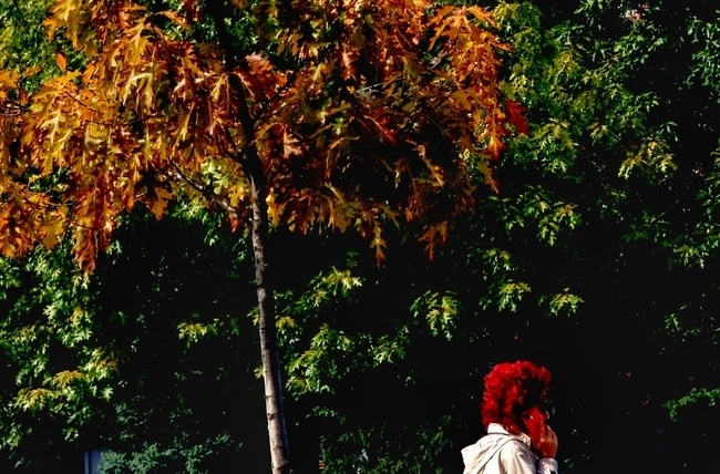 В сутрешните часове в котловините и по долините на реките