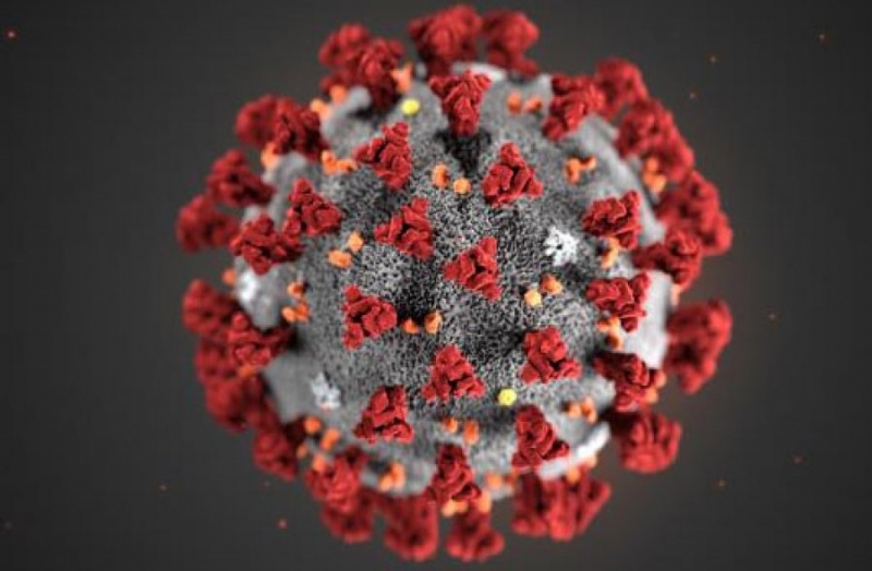 Над 143 8 милиона случая на коронавирус са били регистрирани по