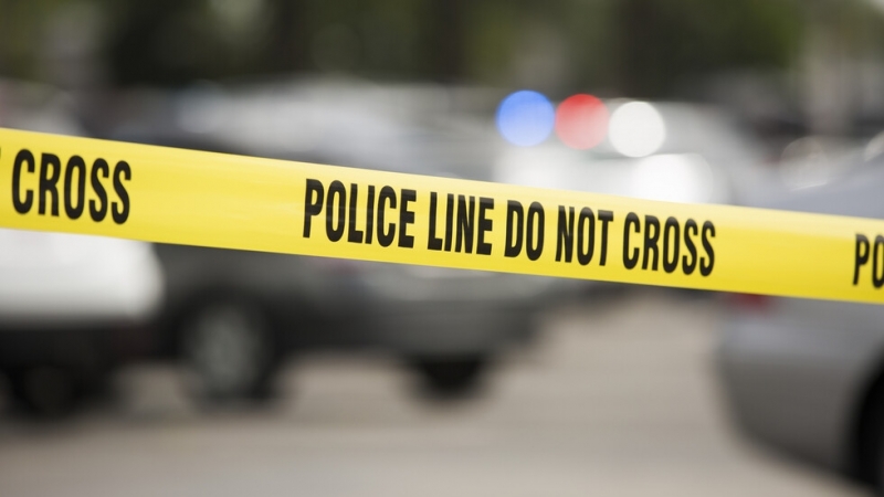 Автомобил се вряза в група родители с деца в японската