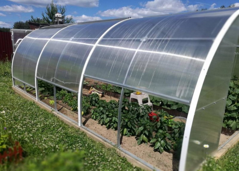 Добричката полиция издирва измамник продал чужди оранжерии Престъплението било регистрирано