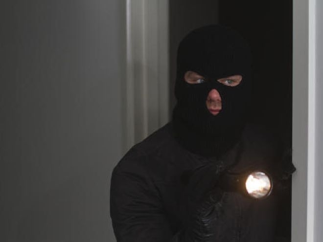 Откраднаха 45 пилета от дома на жена във врачанско село