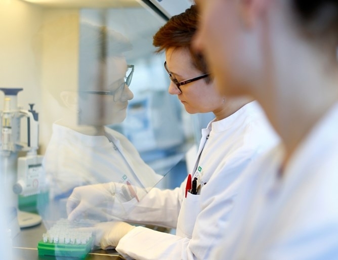 Германия работи за увеличение на болничния капацитет и изработване на